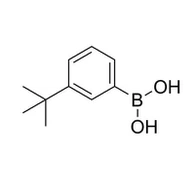 CAS: 560132-24-3 | M-T-BUTYLPHENYLBORONIC ACID